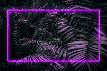 Purple glowing neon frame in dark against natural tropical leaves background texture with copy space