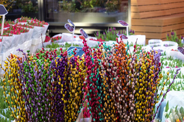  Flower market in spring