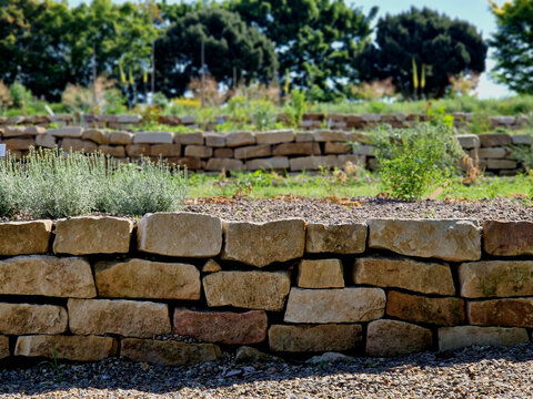 the dry wall serves as a terrace terrace for the garden, where it holds a mass of soil. the wall is slightly curved, which helps it to stabilize better. planting perennials and rock gardens, gravel