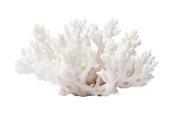 Thorny Coral, Thin Finger, , Table Coral beccc_.Table Coral, on transparent background (PNG). Generative AI.