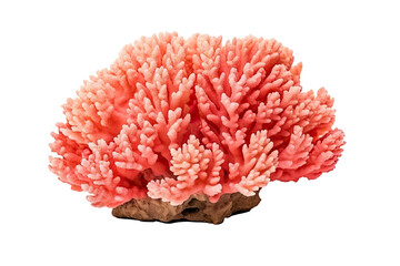 Thorny Coral, Thin Finger, , Table Coral beccc_.Table Coral, on transparent background (PNG). Generative AI.