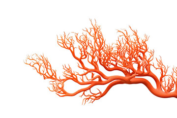 Whip  coral, on transparent background (PNG). Generative AI.