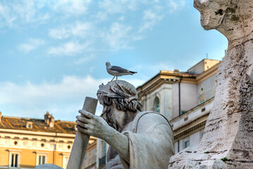 Deatail of dei Quattro Fiumi fauntain statue with a seagull on the head. Funny photo