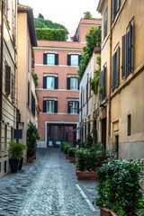 Narrow italian street with plants and flowers