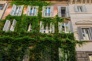 An apartment building Grown With Ivy