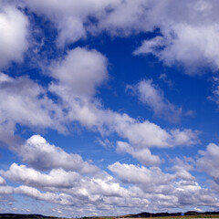 Naklejka premium blue sky and clouds
