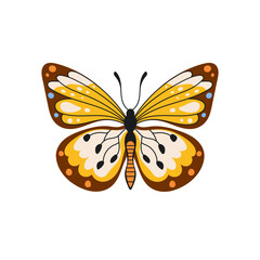 Fototapeta na wymiar Butterfly illustration with yellow wings