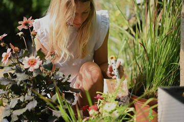 beautiful blonde woman sitting between flower pots, plants in garden, holding garden shovel in...