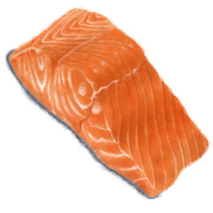 raw salmon