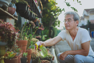 asian senior man watering houseplant at home garden