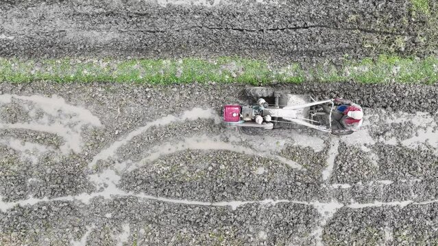 Plough is cultivated with mini tractors on agricultural land in Bangladesh