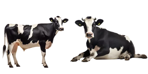 Gordijnen Cow on transparent background PNG © John