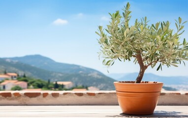 A small olive tree in a clay pot. AI