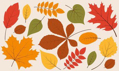Autumn leaves set