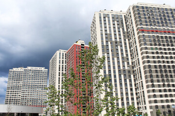 skyscrapers in the city. buildings in downtown city