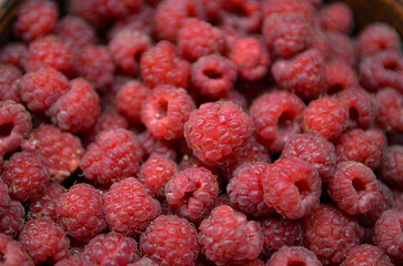 Red fresh raspberries in a bowl