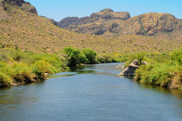 Obraz premium Salt River Recreation Area Arizona