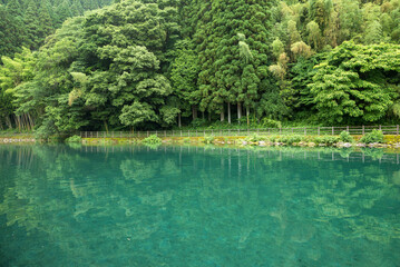 竹中池と緑の森