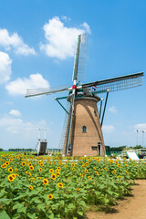 夏の佐倉ふるさと広場・ひまわり畑・千葉県