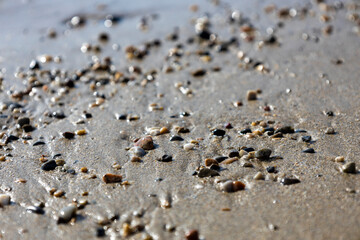 Plage d’Ecalgrain - Normandie Frankreich 6