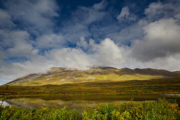 Lake in tundra