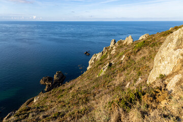 Nez de Jobourg - Normandie Frankreich 15