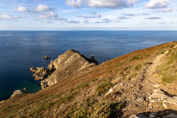 Nez de Jobourg - Normandie Frankreich 6