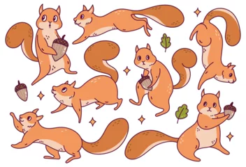 Fotobehang Aap Set of Cute Squirrel Cartoon Character