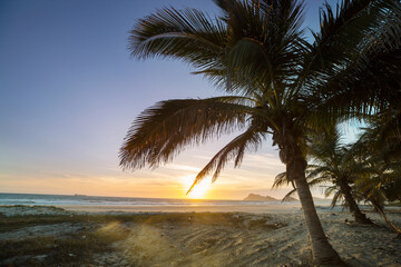 Obraz premium Tropical beach