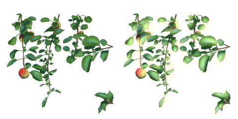 apple tree with 2 options, there are lighting and basic colors only