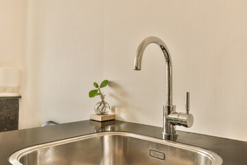 a kitchen sink with a green plant in the fauced on it's side splash mixer and water running down...