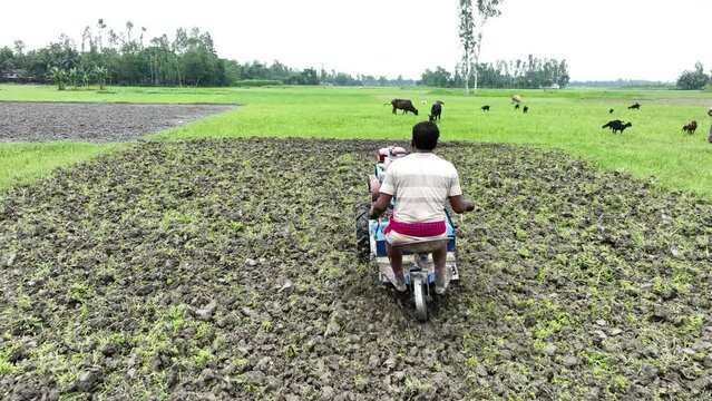 Plough is cultivated with mini tractors on agricultural land in Bangladesh