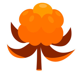 Arctic cloudberry isolated on white background. Nordic berry flat illustration. 