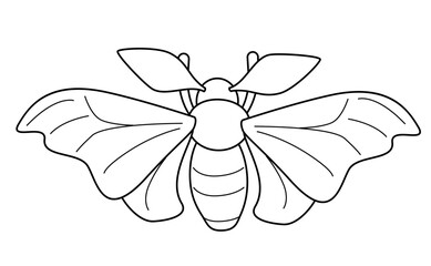 Silk moth (Bombyx mori) outline minimalistic illustration. Symbol for silk late tissue. Silk manufacture vector icon. 