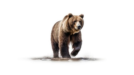 Powerful grizzly bear photo realistic illustration - Generative AI. - obrazy, fototapety, plakaty