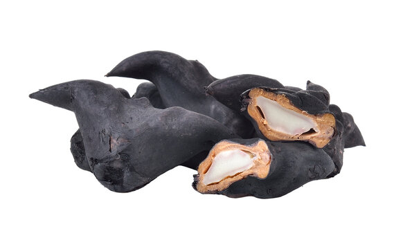 Water Caltrops, Trapa natans isolated on transparent png