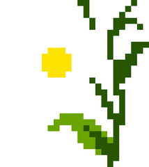Fototapeta premium White flower cartoon icon in pixel style.