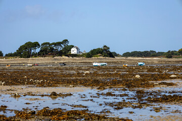 Île Callot - Carantec - Frankreich Bretagne 37