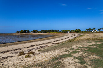 Île Callot - Carantec - Frankreich Bretagne 22