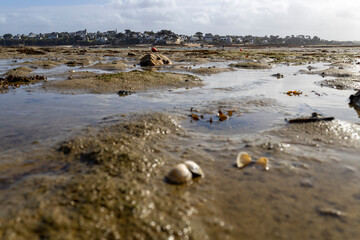 Île Callot - Carantec - Frankreich Bretagne 4