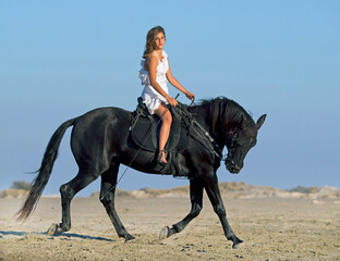 Fototapeta na wymiar horse woman and her stallion riding on the beach