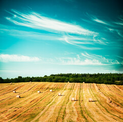 Beautiful Summer Farm Scenery with Haystacks. Landscape with Harvested Field, Rolls and Sky. Agriculture Concept. Toned and Filtered Cross Processed Photo with Copyspace.