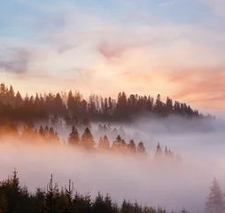 Fotobehang Mistig bos Morning fog on the slopes of the Carpathian Mountains (Ivano-Frankivsk oblast, Ukraine).