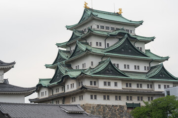 Fototapeta premium 優雅な名古屋城
