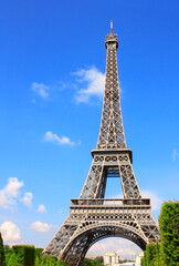 Famous landmark of Paris - Eiffel tower, Champ-de-mars, Paris, France. Summer day
