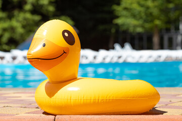 Summertime concept. Inflatable rubber duck swimming ring near the swimming pool. Blank space for...