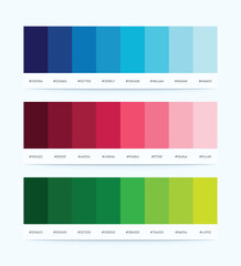 Color Palette Vector With Color Codes