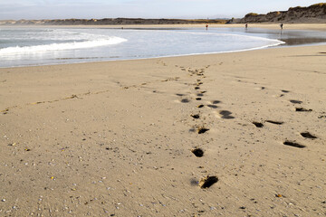 Plage la Torche-Tronoën - Pointe de la Torche - 6