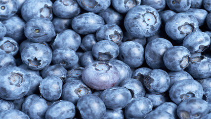 blueberry berries background