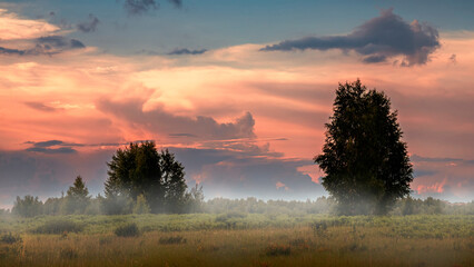 Green field and beautiful summer sunset with fog.